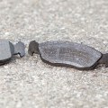 Everything You Need to Know About Brake Pads